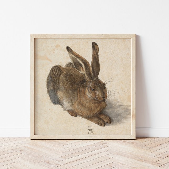 Poster Young Hare | Albrecht Dürer (Criador carregado)