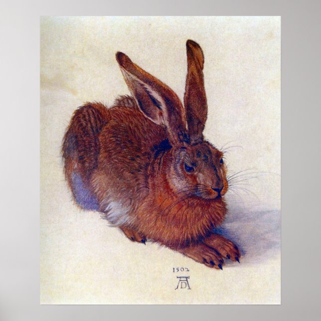 Póster Young Hare by Albrecht Durer, Renaissance Fine Art (Frente)