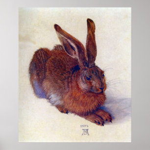 Póster Young Hare de Albrecht Durer, Renaissance Fine Art