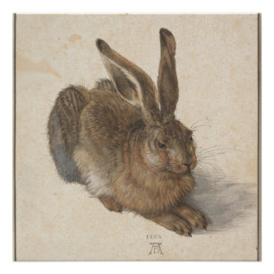 Póster Young Hare (Durer 1502)