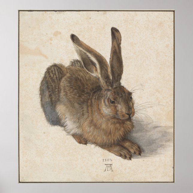 Póster Young Hare por Albrecht Durer (Frente)