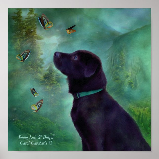 Póster Young Lab & Buttys Art Poster/Impressão (Frente)