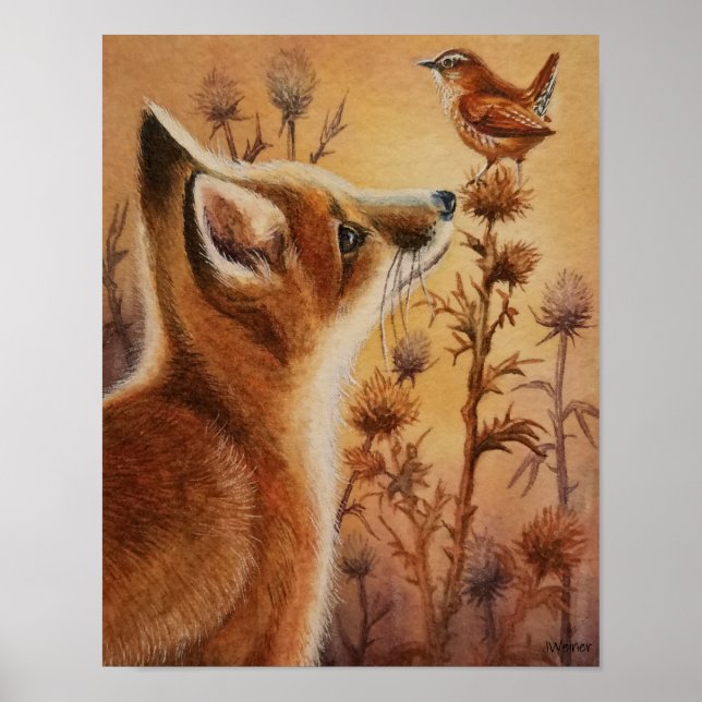Poster Young Red Fox Carolina Wren Bird Watercolor 11x14 (Frente)