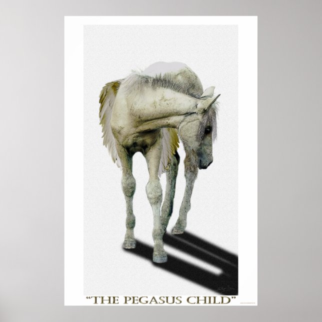 Póster Young White Pegasus Colt Fantasy Art (Frente)