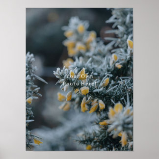 Poster Your Own Personalised Photo Poster.