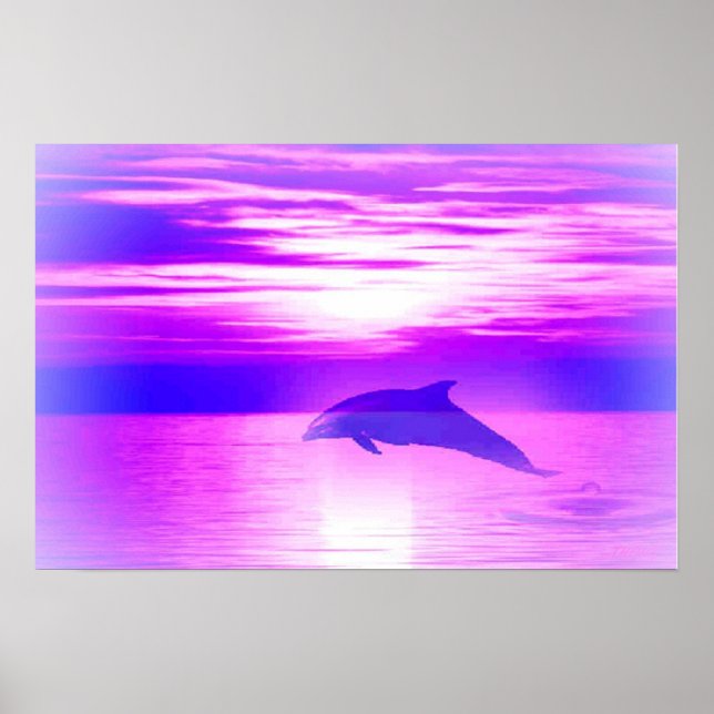 Póster Ysundolphin (Frente)