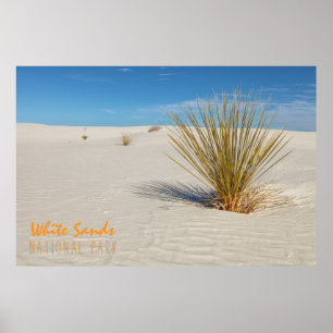 Poster Yucca nas areias brancas