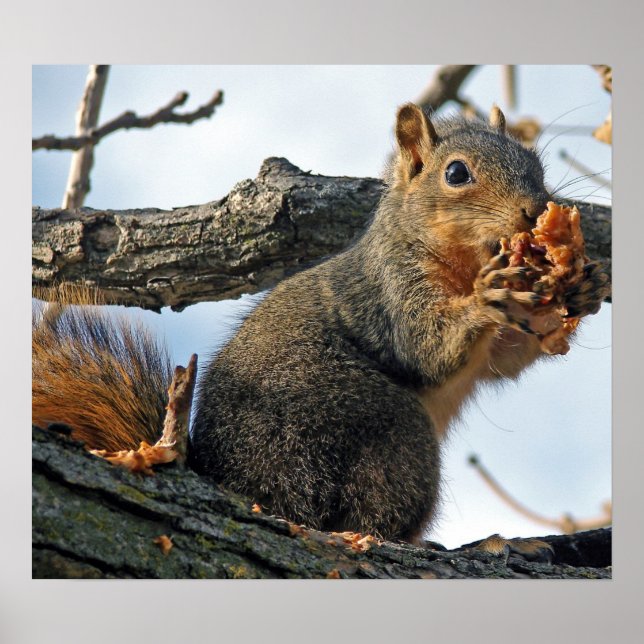 Póster Yummy na minha barriga (Frente)