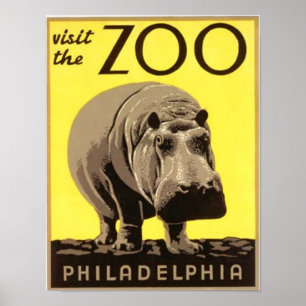 Poster Z00 - Hippo