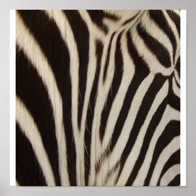 Póster Z Stripe (Frente)