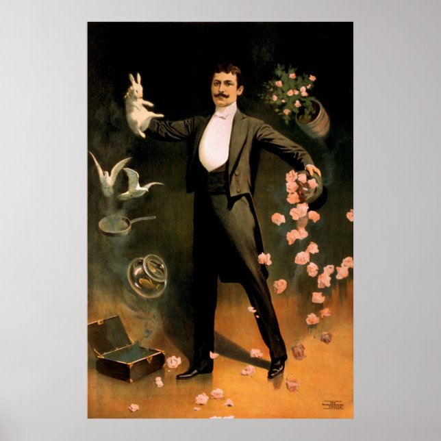 Póster Zan Zig atuando com coelhos e rosas (Frente)