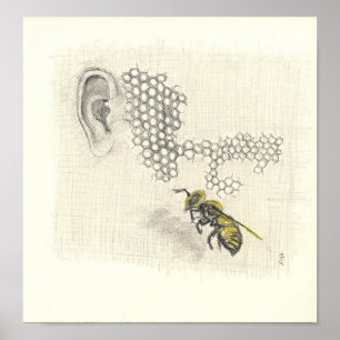Poster Zangão em canvas