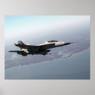 Póster Zangão F/A-18 super