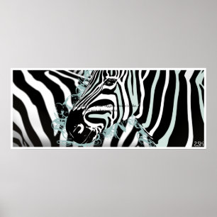 Póster Zebra