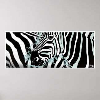 Póster Zebra