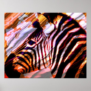 Póster Zebra