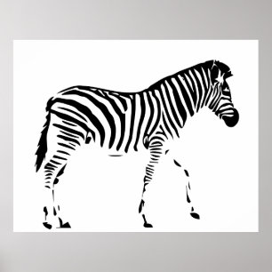 Poster Zebra