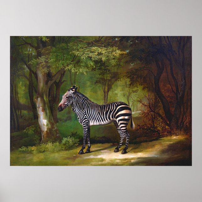 Poster Zebra (1763) pintura de George Stubbs (Frente)
