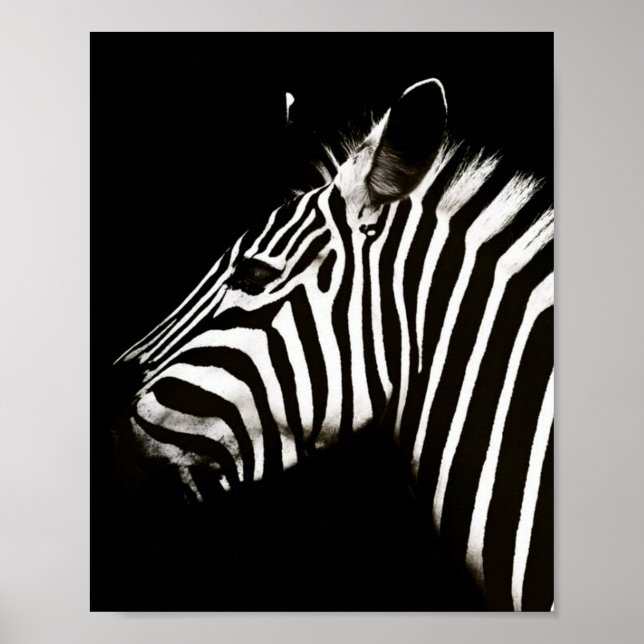 Poster Zebra Black and White Stripes Animal (Frente)