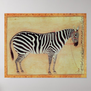 Póster Zebra, de "do álbum Minto", Mughal, 1621,