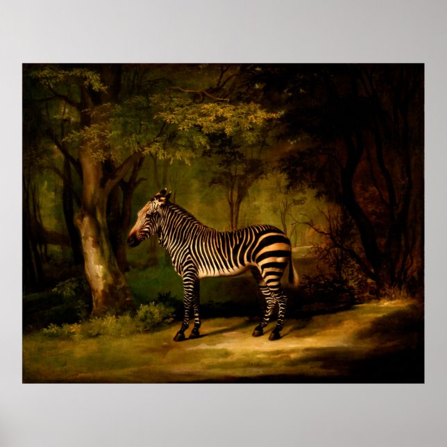 Poster Zebra de George Stubbs (1763) (Frente)