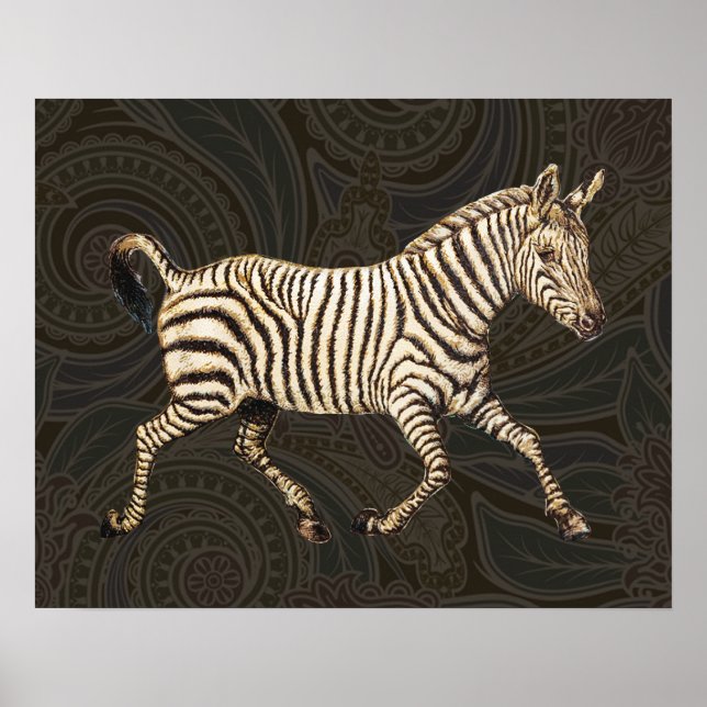 Póster zebra de safra com design paisley (Frente)