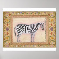 Zebra, do 'Álbum Minto', 1621 (guache no pa)