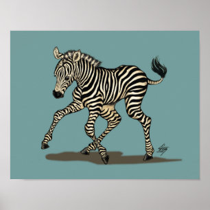 Póster Zebra do bebê no fundo azul