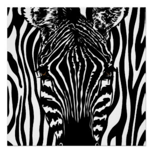 Póster Zebra Funky
