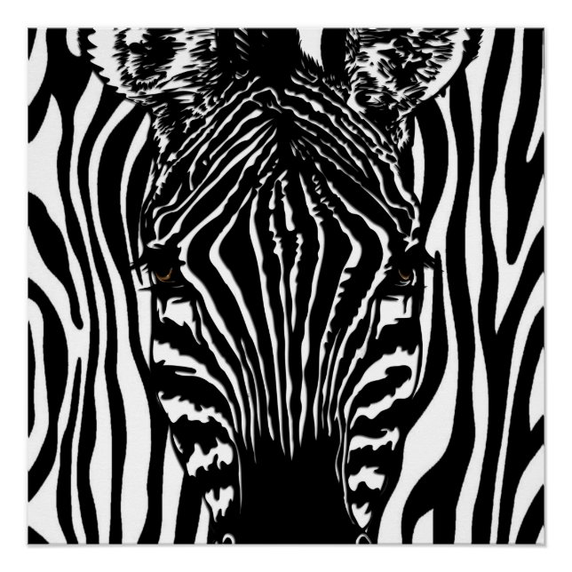 Póster Zebra Funky (Frente)