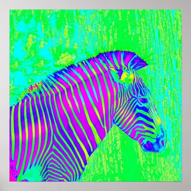 Poster zebra neon - retro verde, azul e roxo (Frente)
