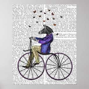 Poster Zebra On Bicycle