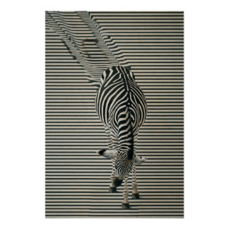 Póster Zebra-Optik Poster | Surrealistische Tierkunst