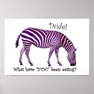 Poster Zebra outra vez….