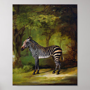 Poster Zebra por George Stubbs