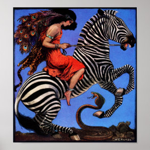 Póster Zebra Rider