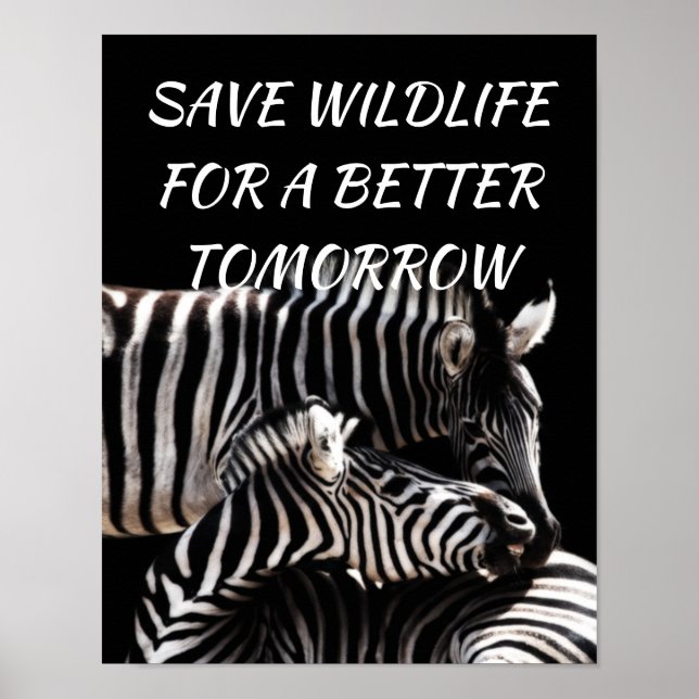 Poster Zebra, Salve a vida selvagem para uma natureza mel (Frente)