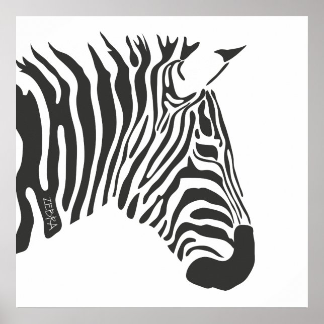 Póster Zebra Solitário (Frente)