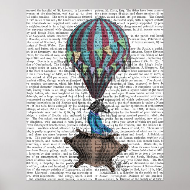 Póster Zebra voadora (Frente)