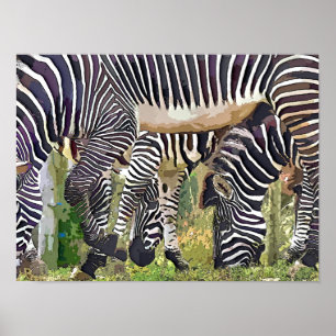 PÓSTER ZEBRAS