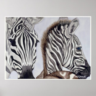Póster Zebras, mãe e filho