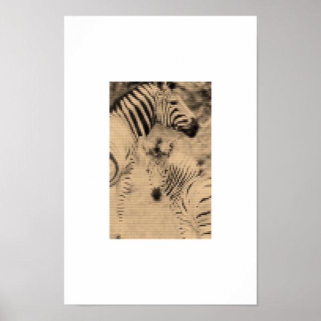 Poster Zebrix (Frente)