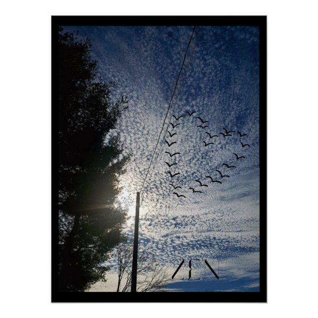 PÓSTER ZEN (Frente)