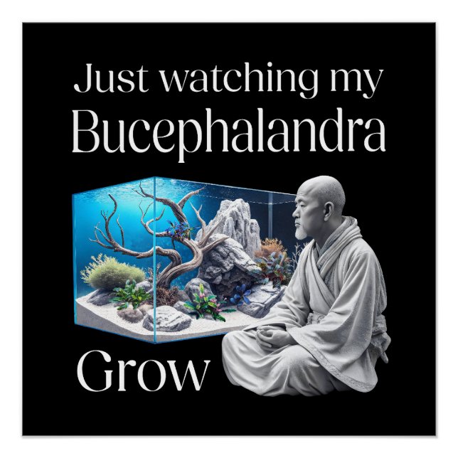 Póster Zen and Bucephalandra – The Art of Aquascaping (Frente)
