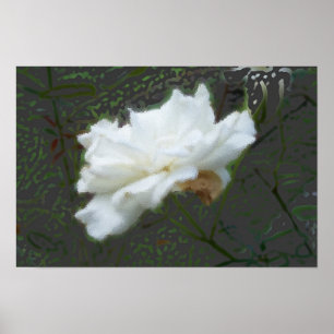 Poster Zen Flower