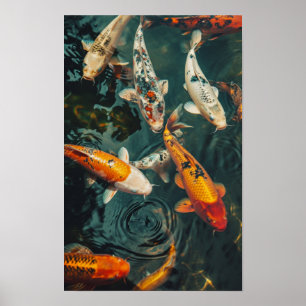 Poster Zen Koi Fish Poster: 31 Nove 2 Peixes Nadando