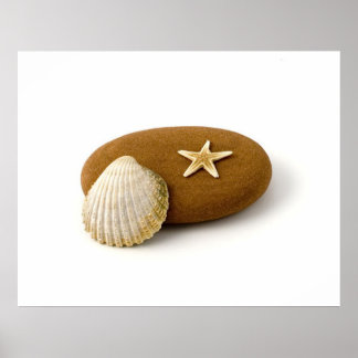 Póster Zen Nature Sea Shell Star Pebble