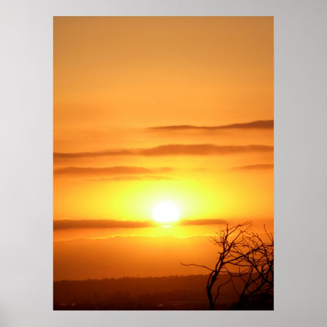 Póster Zesty SUN (Frente)