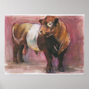 Póster Zeus Red Belted Galloway Bull 2006