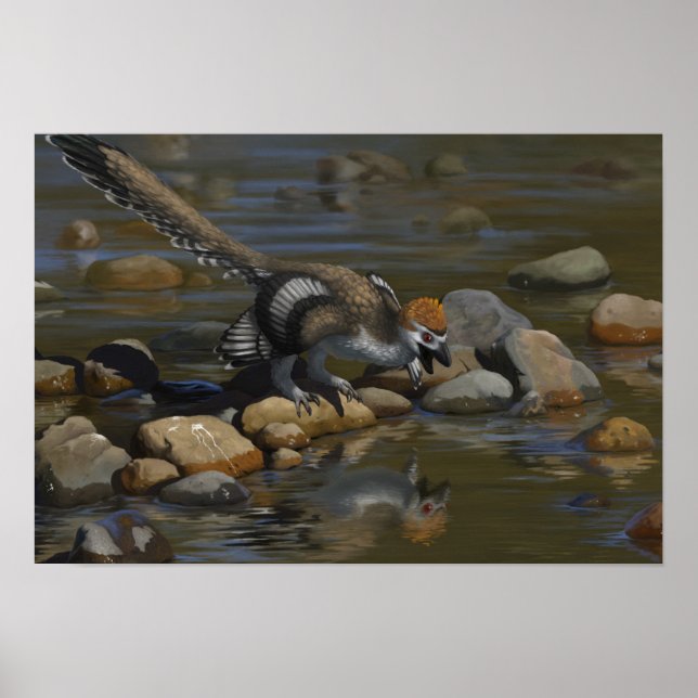 Póster Zhenyuanlong (Frente)